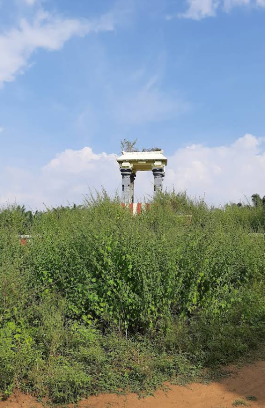 Temple Image r9